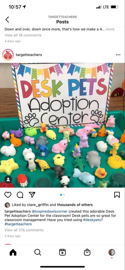 Desk Pet Adoption Center, Desk Pets, Pastel Classroom, Desk Pet, Ag Teacher, Classroom Goals, Animal Erasers, Preschool Art Projects, Pet Adoption Center