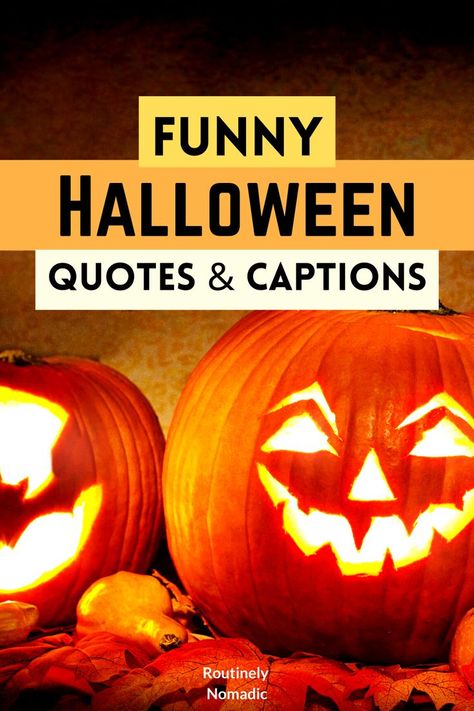 Lit up carved pumpkins with the words funny Halloween quotes and captions on top Clever Halloween Sayings, Halloween Quotes And Sayings Funny, Funny Halloween Sayings Quotes, Halloween Motivational Quotes, October Quotes Funny, Halloween Phrases Quotes, Halloween Quotes And Sayings Cute, Halloween Quotes Scary, Happy Halloween Aesthetic