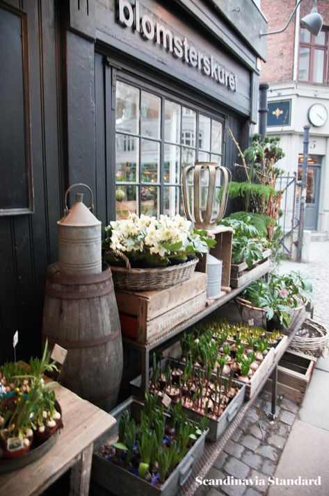 Bulbs at Blomsterskuret in Copenhagen - the most beautiful flower shop in town! Flower Shop Interiors, Swedish Interior Design, Most Beautiful Flower, Flower Shop Design, Flower Shops, Flower Store, Florist Shop, Floral Studio, Most Beautiful Flowers