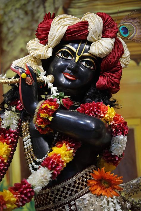 Krishna Images Iskcon, Black Krishna Murti, Radhe Krishna Photo, Black Krishna, Lord Wallpaper, Krishna Iskcon, Krishna Murti, Iskcon Krishna, Hd Dp