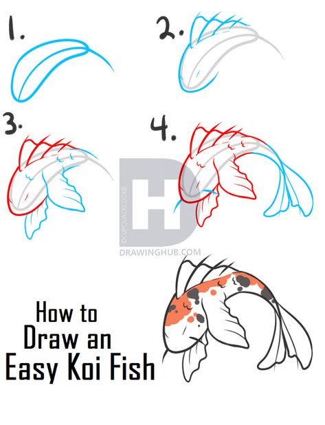 Koi Fish Drawing Simple Easy, Coy Fish Drawing Simple, Easy Coy Fish Drawing, Japanese Koi Fish Drawing, How To Draw Koi Fish Step By Step Easy, Draw Koi Fish, Drawn Koi Fish, Simple Draw, Coy Fish