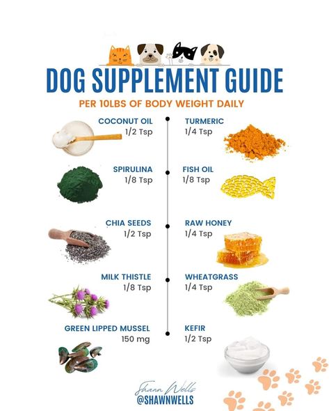 Dog Supplements Natural, Dog Medicine Chart, Homemade Dog Food Crockpot, Dog Gut Health, Mini Aussie Puppy, Holistic Dog Food, Pet Food Recipes, Dog Massage, Aussie Puppy