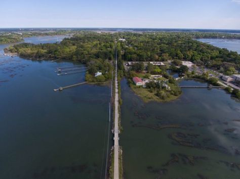 Your Life Will Never Be The Same Once You Hike This Gawk-Worthy Trail In South Carolina Carolina Girls, Beaufort Sc, Port Royal, Never Be The Same, Spanish Moss, Sun City, Scenic Beauty, Hilton Head Island, Hilton Head