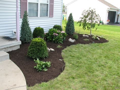 Foundation Planting #3 | Evergreens and deciduous | Flickr Mailbox Plants, Narrow Backyard, Yard Garden Design, Landscape Ideas Front Yard Curb Appeal, Deck Piscina, Front Yard Landscaping Diy, Front Garden Landscape, Small Front Yard Landscaping, Planting Ideas