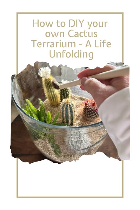 DIY Cactus Terrarium Diy Open Terrarium, Cactus Terrarium Ideas, Easy Terrarium Diy, Cacti Terrarium, Succulent Terrarium Diy, Mini Cactus Garden, Mini Desert, Unique Terrarium, 12 Week Workout