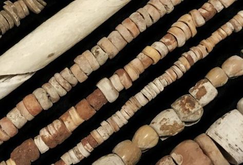 Archaeologist argues the Chumash Indians were using highly worked shell beads as currency 2,000 years ago Chumash Indians, Archaeology News, Hunter Gatherer, Sea Snail, Central California, Channel Islands, Indigenous Culture, Bronze Age, Shell Beads