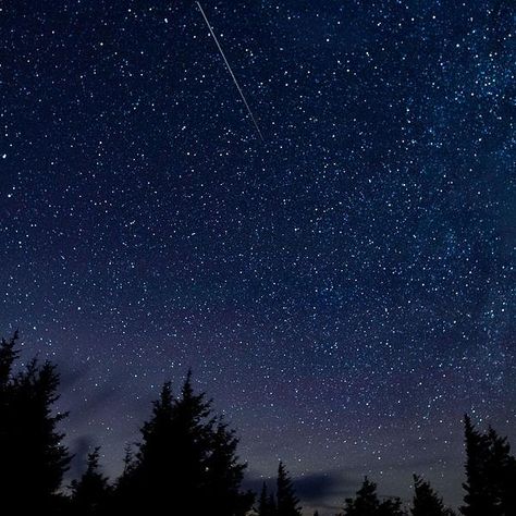 Leonid Meteor Shower, Perseid Meteor Shower, Halley's Comet, Carlsbad Caverns National Park, Midnight Sky, Fast Facts, Meteor Shower, Stars At Night, Night Sky Photos