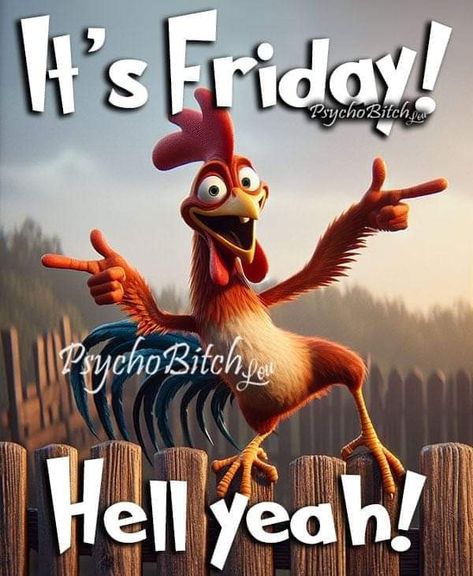 Good Morning Its Friday Funny, Its Friday Quotes Humor, Friday Morning Humor, It's Friday Humor, Friday Work Humor, Funny Friday Humor, Funny Friday Quotes, Funny Good Night Pictures, Happy Friday Humour