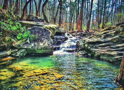 Moss Rock Preserve Trail, near Hoover, AL Talladega National Forest, Hoover Alabama, Alabama Vacation, Alabama Travel, Enchanting Forest, Hiking Destinations, Fall Hiking, On The Road Again, Beautiful Waterfalls