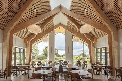 Timber and the future of building: why we need to bust the four big myths — Cullinan Studio Zinc Cladding, Zinc Roof, Sustainable Construction, Architecture Today, Movable Walls, Timber Architecture, Timber Roof, Net Zero, Timber Buildings