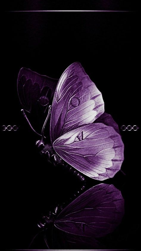 Purple butterfly Dark Purple Butterfly, Wallpaper Iphone Purple, Purple Images, Iphone Purple, Purple Butterfly Wallpaper, Butterfly Wallpapers, Dark Purple Wallpaper, Dark Aesthetic Wallpaper Iphone, Moth Art