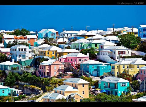 Bermuda houses Bermuda Art, Bermuda Island, Princess Cruise Lines, Princess Cruise, Vernacular Architecture, Outdoor Movie, Beautiful Places On Earth, Beach Kids, Island Home