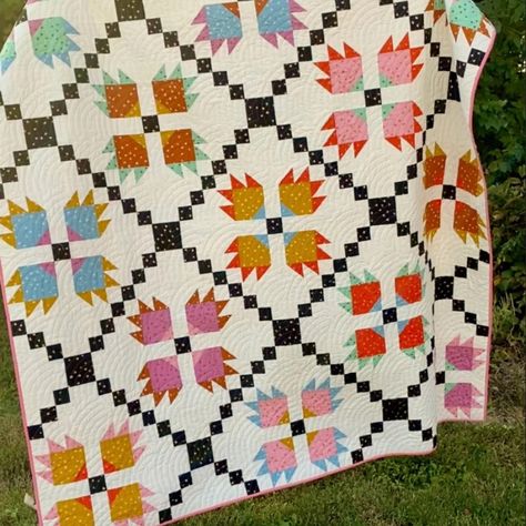 Patchwork Quilts Patterns, Bear Paw Quilt, Quilts Patterns, Jennifer Jones, Bear Quilts, Fat Quarter Quilt, Paw Pattern, Cozy Quilts, Bear Paw