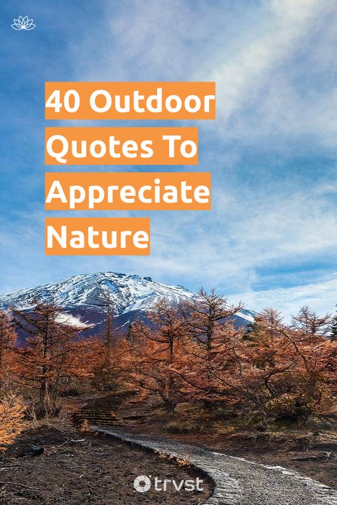 Stir your soul with our collection of outdoor quotes 🌳. From tranquility seekers to thrill-chasers, find the perfect words to ignite your love for the great outdoors 🏕. Rekindle your connection with nature now - enjoy, share and inspire! 🌞 #NatureLove #OutdoorQuotes #AdventureTime #Wanderlust #NatureAppreciation Enjoy Nature Quotes, Outdoor Quotes Nature, Quotes From Authors, Body Quotes, Equality And Diversity, Connection With Nature, 40th Quote, World Quotes, Beautiful Yards