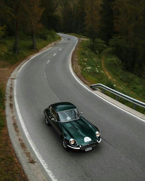 Classic Jaguar E Type, Jaguar E Type 1961, E Type Jaguar, Green Jaguar, Jaguar Type E, Alternative Universe, Jaguar E, Jaguar E Type, Classy Cars