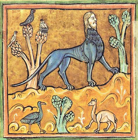 Manticore (Medieval Bestiary)

Manticore from a medieval Bestiary in Latin language. Scorpion Tail, Medieval Monsters, Medieval Creatures, Medieval Bestiary, Porcupine Quills, Ancient Persian, Mythical Beast, Medieval Manuscript, Mythological Creatures