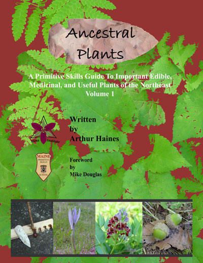 Ancestral Plants by Arthur Haines (books forum at permies) Plant Guide, Wild Edibles, Plant Identification, Health Knowledge, Wild Food, Wild Plants, Edible Plants, Survival Prepping, Back To Nature