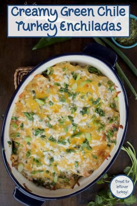 Creamy Turkey Enchiladas, Green Chili Turkey Enchiladas, Turkey Enchiladas Green Sauce, Green Turkey Enchiladas, White Enchiladas Recipe, Enchiladas Crockpot, Creamy Green Sauce, Turkey Enchilada Casserole, Ground Turkey Enchiladas