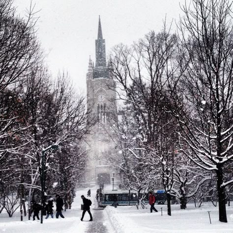 UWO Winter - Prettiest University in Canada - Western University University In Canada, University Of Western Ontario, Used Travel Trailers, Canada Eh, Western University, Future Vision, University Life, London House, Usa Travel Destinations