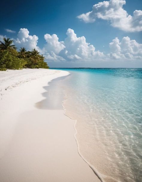 Breathtaking view of pristine white sand beach in Maldives. Turquoise waters of Indian Ocean lap gently at shore stock photography Resort Beach, 2025 Vision, Beach Design, Turquoise Water, White Sand Beach, White Sand, Indian Ocean, Vacation Destinations, Blue Water