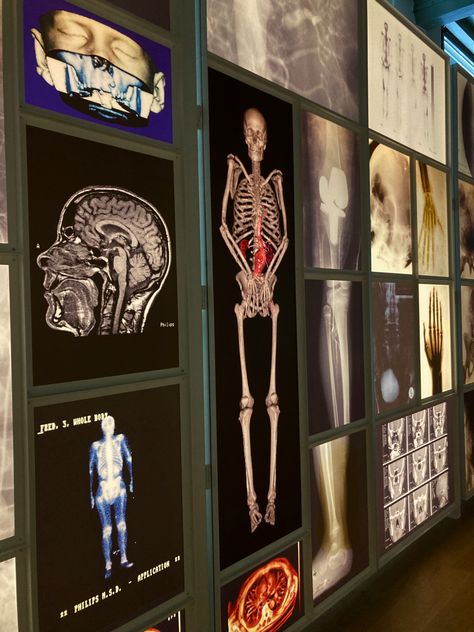 Human body art museum aesthetic Human Body Aesthetic Poster, Human Physiology Aesthetic, Human Science Aesthetic, Experiment Aesthetic Human, Sports Science Aesthetic, Sport Science Aesthetic, Human Experiment Art, Human Biology Aesthetic, Physician Aesthetic