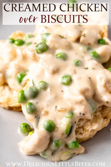 Chicken Gravy With Biscuits, Cream Of Chicken And Biscuits, Rotisserie Chicken Gravy Recipes, Instant Pot Chicken And Biscuits Recipe, Recipes Rotisserie Chicken Leftovers, Leftover Chicken And Gravy Recipes, Crockpot Recipes With Rotisserie Chicken, Creamed Turkey Over Biscuits, Leftover Biscuit Recipes