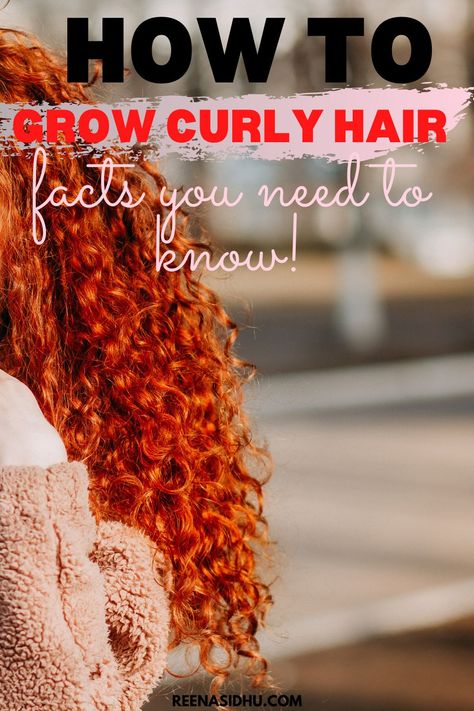 This haircare tips will help you grow your curly hair that you are dreaming of. How To Grow Out Curly Hair, How To Grow Curly Hair, Growing Out Curly Hair, Extensions For Curly Hair, Growing Curly Hair, Edges Growth, Grow Curly Hair, Curl Tips, Hair Wont Grow