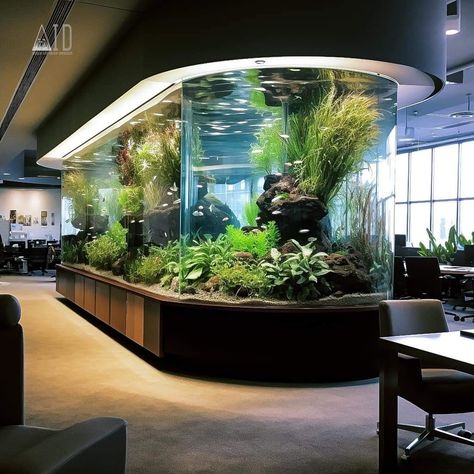 Big Aquarium Design, Indoor Water Garden With Fish, Big Aquarium Living Rooms, Aquarium Setup Ideas, Fish Tank Wall, Big Aquarium, Wall Aquarium, Amazing Aquariums, Indoor Water Garden