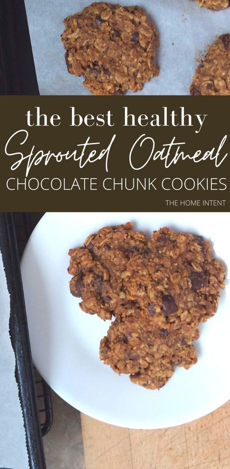 The gentle sweetness and perfect chewiness of these healthy oatmeal chocolate chunk cookies made with sprouted oats and sprouted wheat will blow your mind. You will have ZERO guilt after eating them, so try not to eat them all at once! #sprouted #oatmeal #cookies #healthy #chocolatechunk Sprouted Oat Cookies, Sprouted Oatmeal Cookies, Oatmeal Cookies Healthy, Nourishing Snacks, Sprouted Oats, Homestyle Recipes, Chewy Oatmeal Chocolate Chip Cookies, Sprouted Wheat, Chocolate Chunk Cookie Recipe