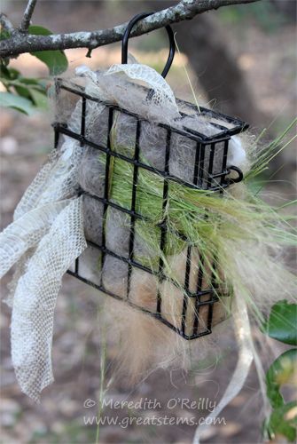 Wildlife Projects for Kids: Nesting Materials | Great Stems Backyard Bird Houses, Twig Bird House, Bird Nesting Material, Backyard Birds Watching, Backyard Birds Sanctuary, Bird Feeding Station, Homemade Bird Feeders, Homemade Bird Houses, Bird House Feeder