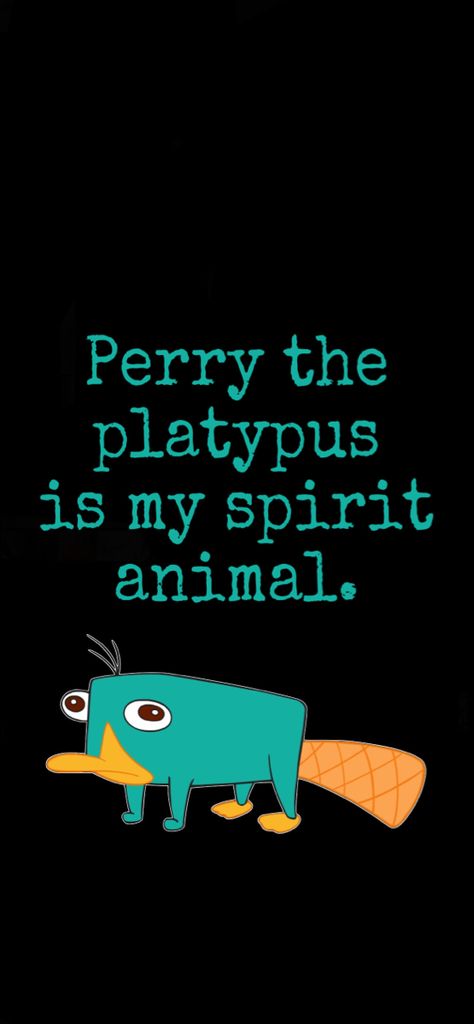 Parry The Platypus Wallpaper, Perry The Platypus Wallpapers Aesthetic, Perry The Platypus Aesthetic, Perry The Platypus Fanart, Perry The Platypus Wallpapers, Platypus Wallpaper, Phineas And Ferb Wallpaper, Platypus Perry, Milo Murphys Law