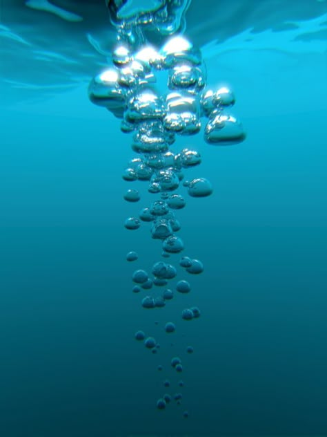 Underwater Bubbles Tattoo, Underwater Bubbles, Ocean Floor, Water Bubbles, Underwater Photos, Underwater Photography, In The Ocean, Air Bubbles, Underwater World