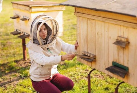 An Essential Guide To The Layens Hive Bee Professor Layens Hive, Honey Extractor, Top Bar Hive, Beehive Design, Honey Do, Best Honey, Box Houses, Pitched Roof, Make It Through