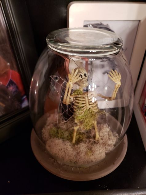 Skeleton Fairy In A Jar, Dollar Tree Skeleton Fairy, Fairy Skeleton In A Jar Diy, Simple Diy Halloween Decor, Fairy Skeletons, Skeleton Fairy, Glass Spider, Spooky October, Halloween Jars