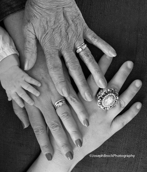 Four Generation Pictures, Family Generation Photography, 4 Generations Photo, Generation Pictures, Generations Photography, Big Family Photos, Generation Photo, Hand Photo, Family Posing