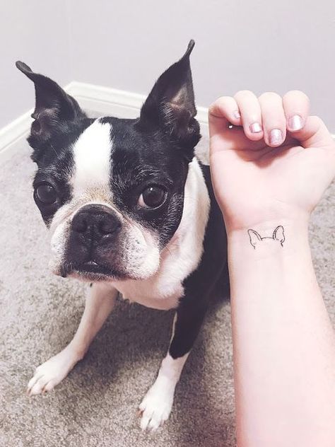 The 24 Amazing Dog Tattoos Any Boston Terrier Lover Will Love | The Dogman Boston Terrier Tattoo Outline Ears, Simple Frenchie Tattoo, Horse Ears Tattoo, Frenchie Ears Tattoo, French Bulldog Ears Tattoo, Boston Terrier Tattoo, French Bulldog Tattoo, Bulldog Tattoo, Boston Terrier Lover