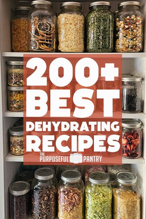 Dehydrate your garden produce, and grocery store finds to stock your pantry! Learn how to dehydrate fruits, vegegtables, herbs and meats to create a well-stocked pantry to last well into next year! This handy resource will help you learn how to dry foods to store in your pantry all year long! Dehydrator Recipes Fruit, Dehydrating Recipes, Best Food Dehydrator, Dehydrate Potatoes, Dehydrating Food Storage, Food Dehydration, Potatoes Tomatoes, Stock Your Pantry, Dehydrated Vegetables