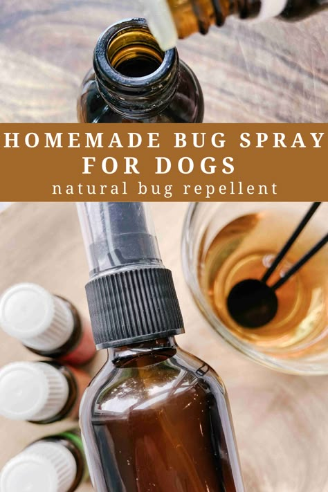 This all-natural homemade bug spray recipe for dogs is a great natural insect repellent. It’s a simple and easy recipe that comes together quickly. Plus it’s also a great way for pet owners to provide protection from annoying pests during the summer months without using commercial bug sprays. Pet Safe Insect Repellent, Pet Friendly Mosquito Repellent, Essential Oil Bug Spray For Dogs, Diy Bitter Apple Spray Homemade Dog, All Natural Bug Repellent, Essential Oil Flea Spray Dogs, Fly Spray For Dogs, Fly Repellant For Dogs, Dog Bug Spray