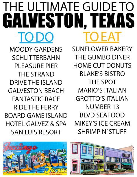 Next time you’re planning one of the cruises out of Galveston, book a day or two to try out one of these awesome things to do in Galveston, TX! There’s more to do than just go on cruises from Galveston! Galveston Texas Vacation, Texas Getaways, Trip Hacks, Texas Vacation, Texas Trip, Galveston Beach, Moody Gardens, Texas Beaches, Texas Adventure