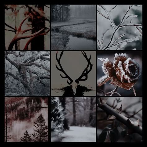 #moodboard #wendigo #scary #paranormal #aestethic #spooky #scary #skeletons Scary Core Aesthetic, Wendigo Scary, Wendigo Aesthetics, Scary Moodboard, Cryptid Moodboard, Skeleton Moodboard, Wendigo Aesthetic, Wendigo Oc, Alastor Aesthetic