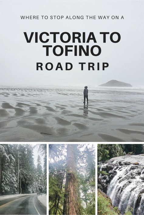 Victoria To Tofino Road Trip, Vancouver Island Itinerary, Vancouver Island Hikes, Vancouver Island Road Trip, Bc Road Trip, Travel Bc, Travel Vancouver Island, Pacific Rim National Park, Road Trip Tips