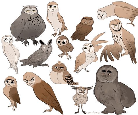 ArtStation - Some owls characters, Clara Danjoux Owl Drawing Reference, Owl Character Design, Character Design Illustration, Owl Illustration, Owls Drawing, Owl Cartoon, Fantasy Creatures Art, Animal Sketches, Owl Art