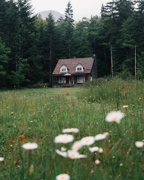 Trans Film, Cottage In Woods, Pnw Aesthetic, Ranger Station, Cute Cottages, Homes In France, Fairytale House, Woodland House, Cottage Aesthetic