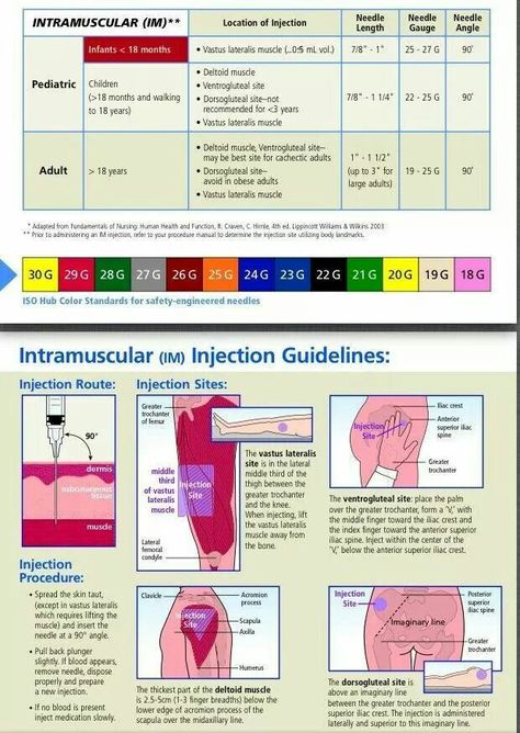 IM Injection Guidelines Im Injection, Nursing Information, Nursing Mnemonics, Pharmacology Nursing, Nursing School Survival, Nursing School Studying, Nursing School Tips, Nursing School Notes, Medical Studies