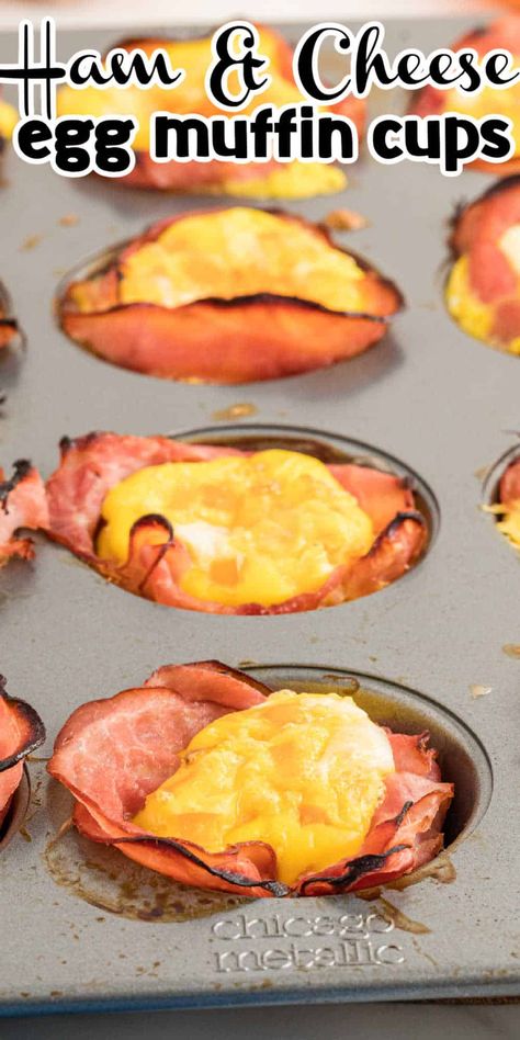 Low Carb Ham Egg And Cheese Cups, Keto Breakfast Cups Egg Muffins, Keto Egg Muffins Low Carb, Low Carb Egg Cups, Egg Muffins Breakfast Ham, Keto Breakfast Cups, Ham And Cheese Breakfast Muffins, Keto Breakfast Egg Muffins, Keto Egg Cups Breakfast