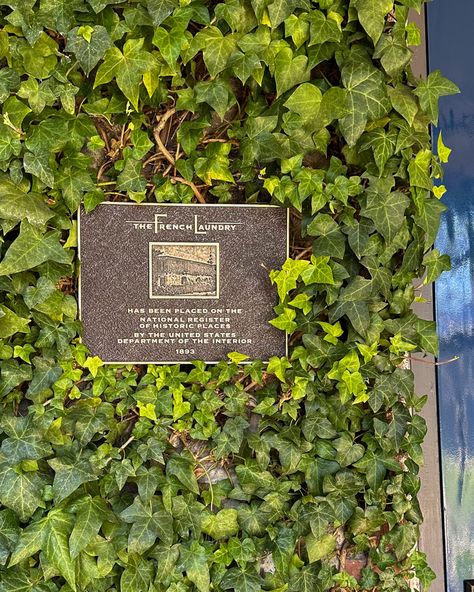 The French Laundry restaurant’s historical plaque on the ivy-facade. The French Laundry Restaurant, French Laundry Restaurant, Napa Restaurants, The French Laundry, Thomas Keller, French Laundry, Garden Guide, Unique Trees, Food Experiences