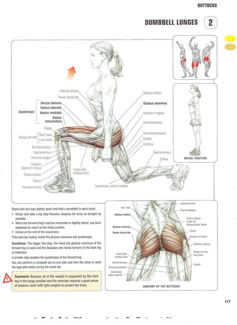 Frederic Delavier Frederic Vasseur, Strength Training Anatomy, Health And Fitness Expo, Workout Gym Routine, Yoga Anatomy, Gym Workout Chart, Muscle Anatomy, Gym Routine, Workout Chart