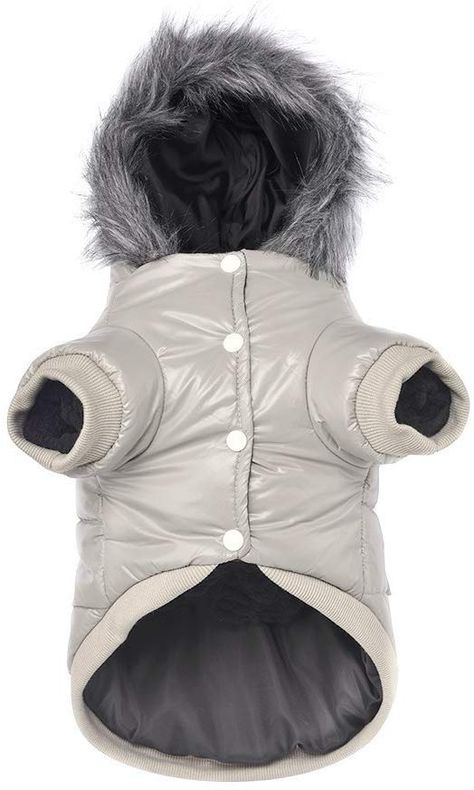 Puppy Jacket, Puppy Coats, Bulldog Francese, Dog Winter, Dog Winter Coat, Warm Winter Jackets, Small Scarf, Cute Hoodie, Dog Eyes