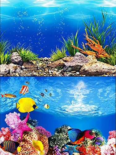 Glofish Aquarium, Fish Tank Background, Fish Tank Gravel, Plants Aquarium, Fish Background, Fish Tank Accessories, Theme Background, Star Background, Aquarium Decor