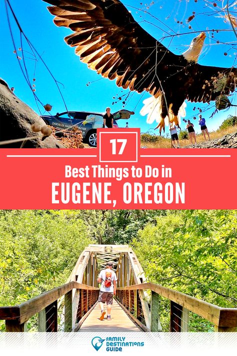 Want to see the most incredible things to do in Eugene, OR? We’re FamilyDestinationsGuide, and we’re here to help: From unique activities to the coolest spots to check out, discover the BEST things to do in Eugene, Oregon - so you get memories that last a lifetime! #eugene #eugenethingstodo #eugeneactivities #eugeneplacestogo Things To Do In Eugene Oregon, Exploring Oregon, Oregon Wineries, Oregon Winter, Pacific Coast Road Trip, Springfield Oregon, Traveling Circus, Paper Petals, Albany Oregon